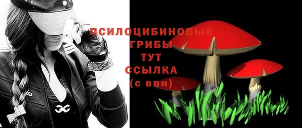 трава Аша