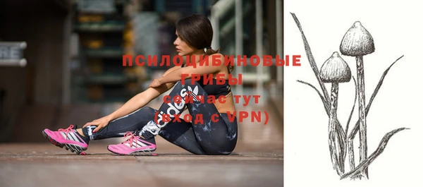 2c-b Надым