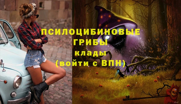 винт Нея