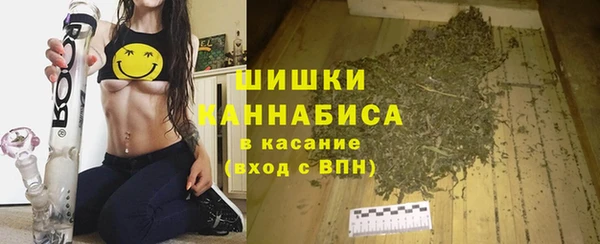 винт Нея