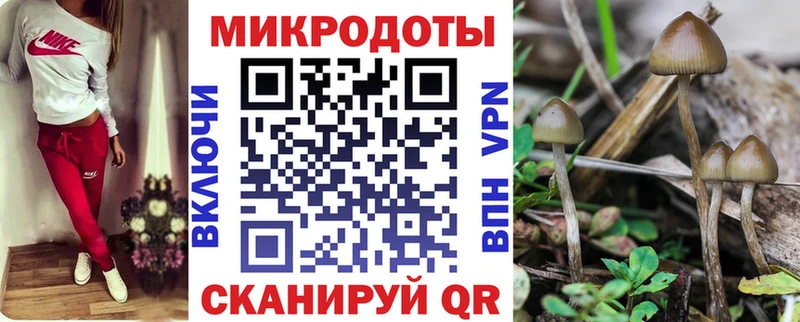 Галлюциногенные грибы Psilocybe  где купить   Омск 