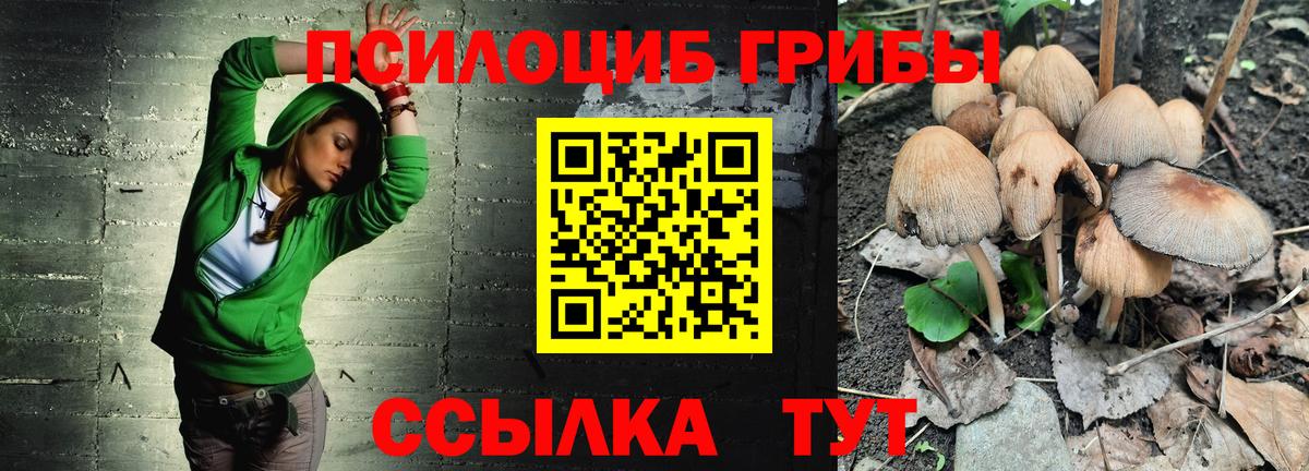 Галлюциногенные грибы Psilocybine cubensis  Псилоцибиновые грибы MAGIC MUSHROOMS  Вход с VPN  Омск 