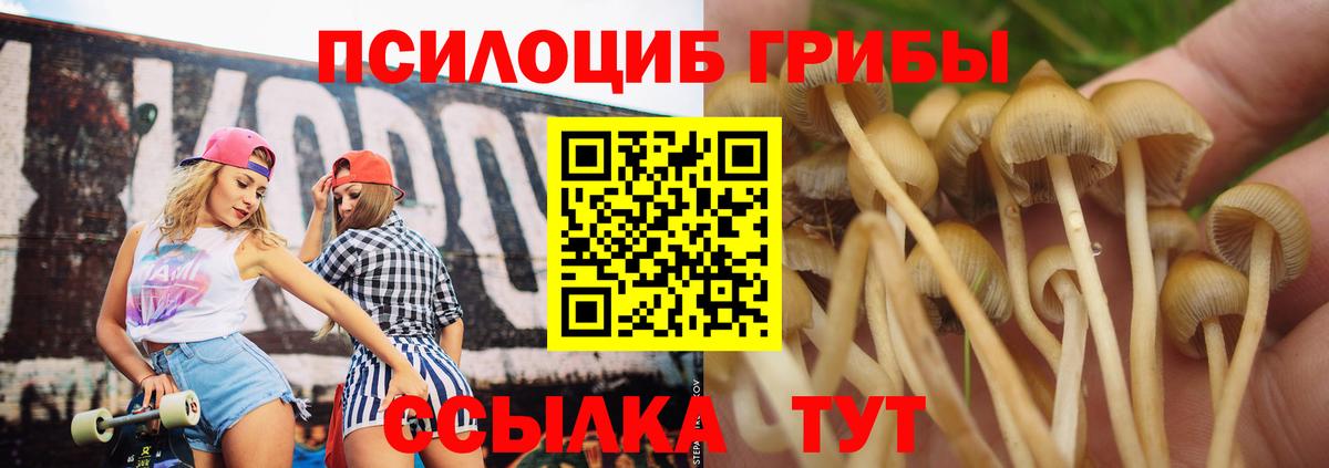 Галлюциногенные грибы Cubensis Омск
