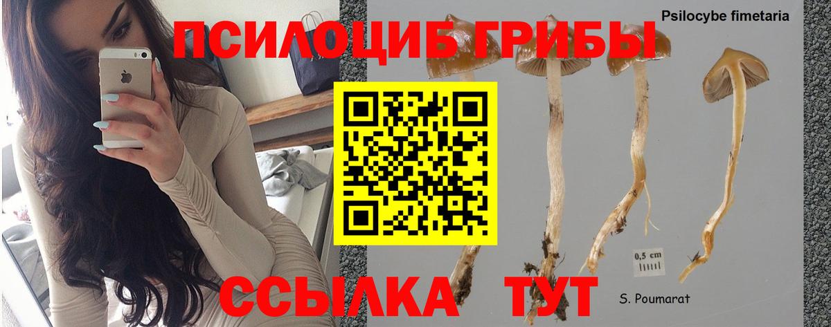 Амфетамин кристаллы  Cocaine  Омск  Мефедрон кристаллы  МАРИХУАНА  Вход с VPN  Марихуана  МЕФ  Гашиш 