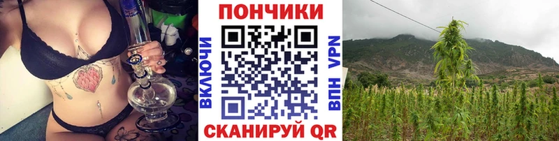 купить Омск Шишки марихуана THC 21%